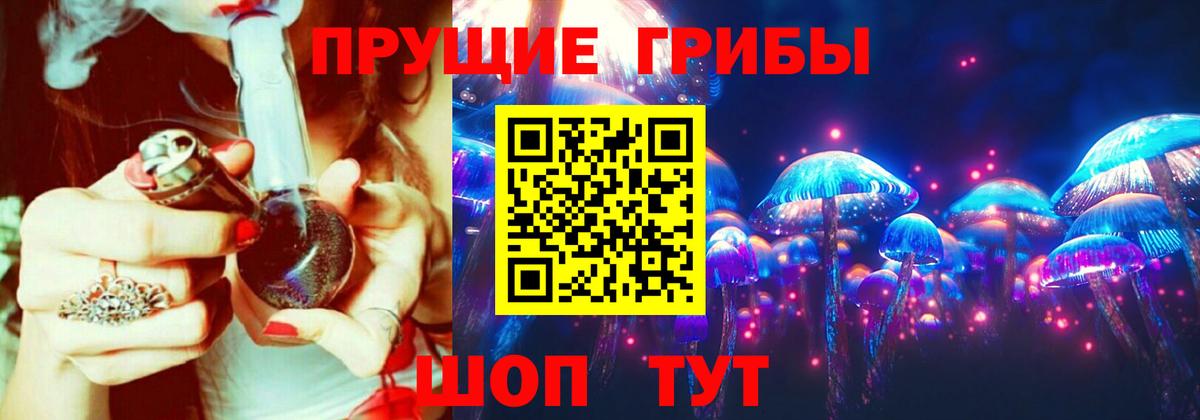 Галлюциногенные грибы GOLDEN TEACHER Ногинск