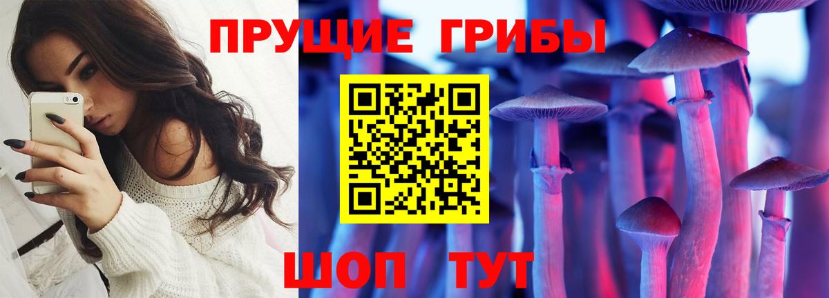 Галлюциногенные грибы Magic Shrooms  Вход с VPN  Ногинск 